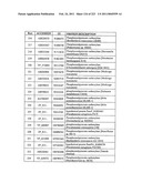 MALIC ACID PRODUCTION IN RECOMBINANT YEAST diagram and image