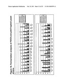 MALIC ACID PRODUCTION IN RECOMBINANT YEAST diagram and image