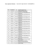 MALIC ACID PRODUCTION IN RECOMBINANT YEAST diagram and image