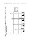 MALIC ACID PRODUCTION IN RECOMBINANT YEAST diagram and image