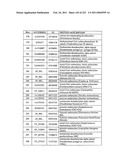 MALIC ACID PRODUCTION IN RECOMBINANT YEAST diagram and image