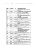 MALIC ACID PRODUCTION IN RECOMBINANT YEAST diagram and image