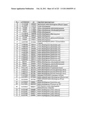 MALIC ACID PRODUCTION IN RECOMBINANT YEAST diagram and image