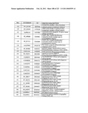 MALIC ACID PRODUCTION IN RECOMBINANT YEAST diagram and image