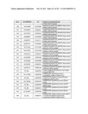 MALIC ACID PRODUCTION IN RECOMBINANT YEAST diagram and image