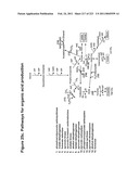 MALIC ACID PRODUCTION IN RECOMBINANT YEAST diagram and image