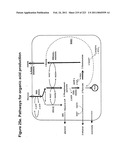 MALIC ACID PRODUCTION IN RECOMBINANT YEAST diagram and image