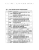 MALIC ACID PRODUCTION IN RECOMBINANT YEAST diagram and image