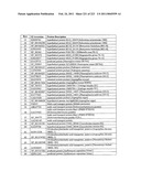 MALIC ACID PRODUCTION IN RECOMBINANT YEAST diagram and image