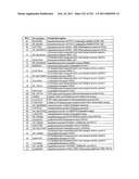 MALIC ACID PRODUCTION IN RECOMBINANT YEAST diagram and image