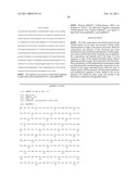 MALIC ACID PRODUCTION IN RECOMBINANT YEAST diagram and image