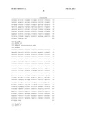 MALIC ACID PRODUCTION IN RECOMBINANT YEAST diagram and image