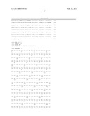 MALIC ACID PRODUCTION IN RECOMBINANT YEAST diagram and image