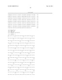 MALIC ACID PRODUCTION IN RECOMBINANT YEAST diagram and image