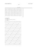 MALIC ACID PRODUCTION IN RECOMBINANT YEAST diagram and image