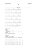 MALIC ACID PRODUCTION IN RECOMBINANT YEAST diagram and image