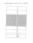 MALIC ACID PRODUCTION IN RECOMBINANT YEAST diagram and image