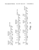 Development of Strains of the Thermotolerant Yeast Hansenula Polymorpha Capable of Alcoholic Fermentation of Starch and Xylan by Expression of Starch and Xylan Degrading Enzymes diagram and image