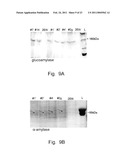 Development of Strains of the Thermotolerant Yeast Hansenula Polymorpha Capable of Alcoholic Fermentation of Starch and Xylan by Expression of Starch and Xylan Degrading Enzymes diagram and image