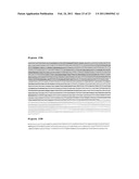 Development of Strains of the Thermotolerant Yeast Hansenula Polymorpha Capable of Alcoholic Fermentation of Starch and Xylan by Expression of Starch and Xylan Degrading Enzymes diagram and image