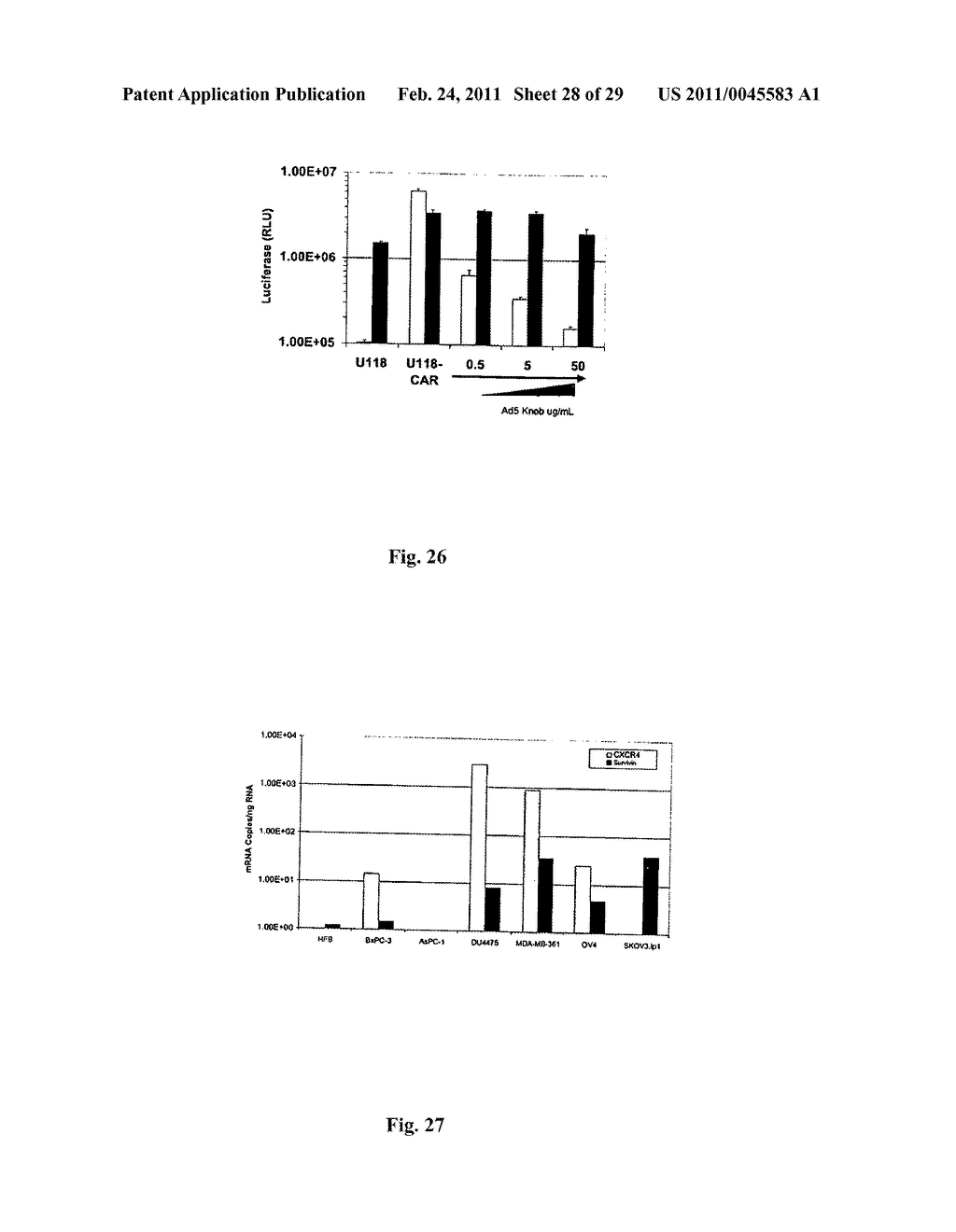 INFECTIVITY-ENHANCED CONDITIONALLY-REPLICATIVE ADENOVIRUS AND USES THEREOF - diagram, schematic, and image 29