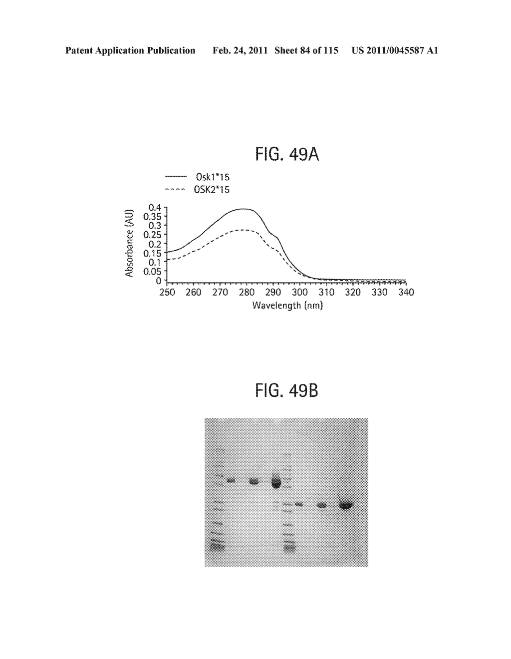 TOXIN PEPTIDE THERAPEUTIC AGENTS - diagram, schematic, and image 85