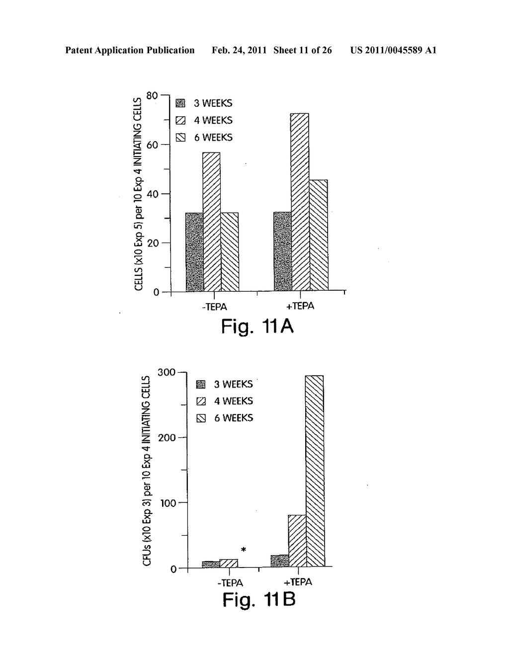 Methods Of Controlling Proliferation And Differentiation Of Stem And Progenitor Cells - diagram, schematic, and image 12