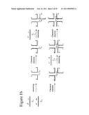 STRUCTURAL NUCLEIC ACID GUIDED CHEMICAL SYNTHESIS diagram and image