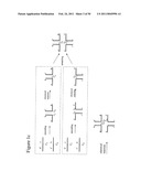 STRUCTURAL NUCLEIC ACID GUIDED CHEMICAL SYNTHESIS diagram and image