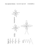 STRUCTURAL NUCLEIC ACID GUIDED CHEMICAL SYNTHESIS diagram and image