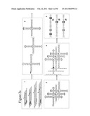 STRUCTURAL NUCLEIC ACID GUIDED CHEMICAL SYNTHESIS diagram and image