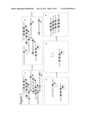 STRUCTURAL NUCLEIC ACID GUIDED CHEMICAL SYNTHESIS diagram and image