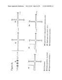 STRUCTURAL NUCLEIC ACID GUIDED CHEMICAL SYNTHESIS diagram and image