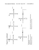 STRUCTURAL NUCLEIC ACID GUIDED CHEMICAL SYNTHESIS diagram and image