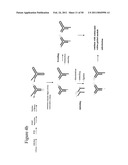 STRUCTURAL NUCLEIC ACID GUIDED CHEMICAL SYNTHESIS diagram and image