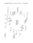 STRUCTURAL NUCLEIC ACID GUIDED CHEMICAL SYNTHESIS diagram and image