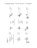 STRUCTURAL NUCLEIC ACID GUIDED CHEMICAL SYNTHESIS diagram and image