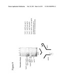 STRUCTURAL NUCLEIC ACID GUIDED CHEMICAL SYNTHESIS diagram and image