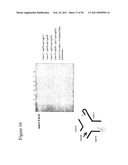 STRUCTURAL NUCLEIC ACID GUIDED CHEMICAL SYNTHESIS diagram and image