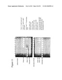 STRUCTURAL NUCLEIC ACID GUIDED CHEMICAL SYNTHESIS diagram and image