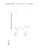 STRUCTURAL NUCLEIC ACID GUIDED CHEMICAL SYNTHESIS diagram and image