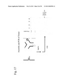 STRUCTURAL NUCLEIC ACID GUIDED CHEMICAL SYNTHESIS diagram and image