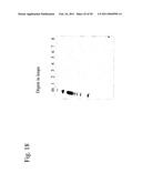 STRUCTURAL NUCLEIC ACID GUIDED CHEMICAL SYNTHESIS diagram and image