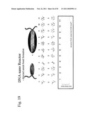 STRUCTURAL NUCLEIC ACID GUIDED CHEMICAL SYNTHESIS diagram and image