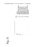 STRUCTURAL NUCLEIC ACID GUIDED CHEMICAL SYNTHESIS diagram and image