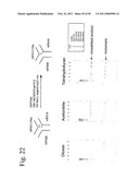 STRUCTURAL NUCLEIC ACID GUIDED CHEMICAL SYNTHESIS diagram and image