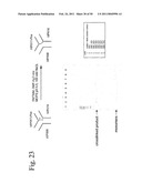 STRUCTURAL NUCLEIC ACID GUIDED CHEMICAL SYNTHESIS diagram and image