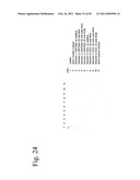 STRUCTURAL NUCLEIC ACID GUIDED CHEMICAL SYNTHESIS diagram and image