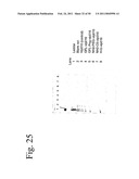 STRUCTURAL NUCLEIC ACID GUIDED CHEMICAL SYNTHESIS diagram and image