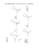 STRUCTURAL NUCLEIC ACID GUIDED CHEMICAL SYNTHESIS diagram and image